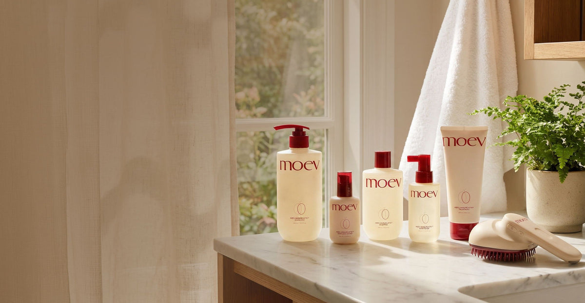 Collections – Moev
