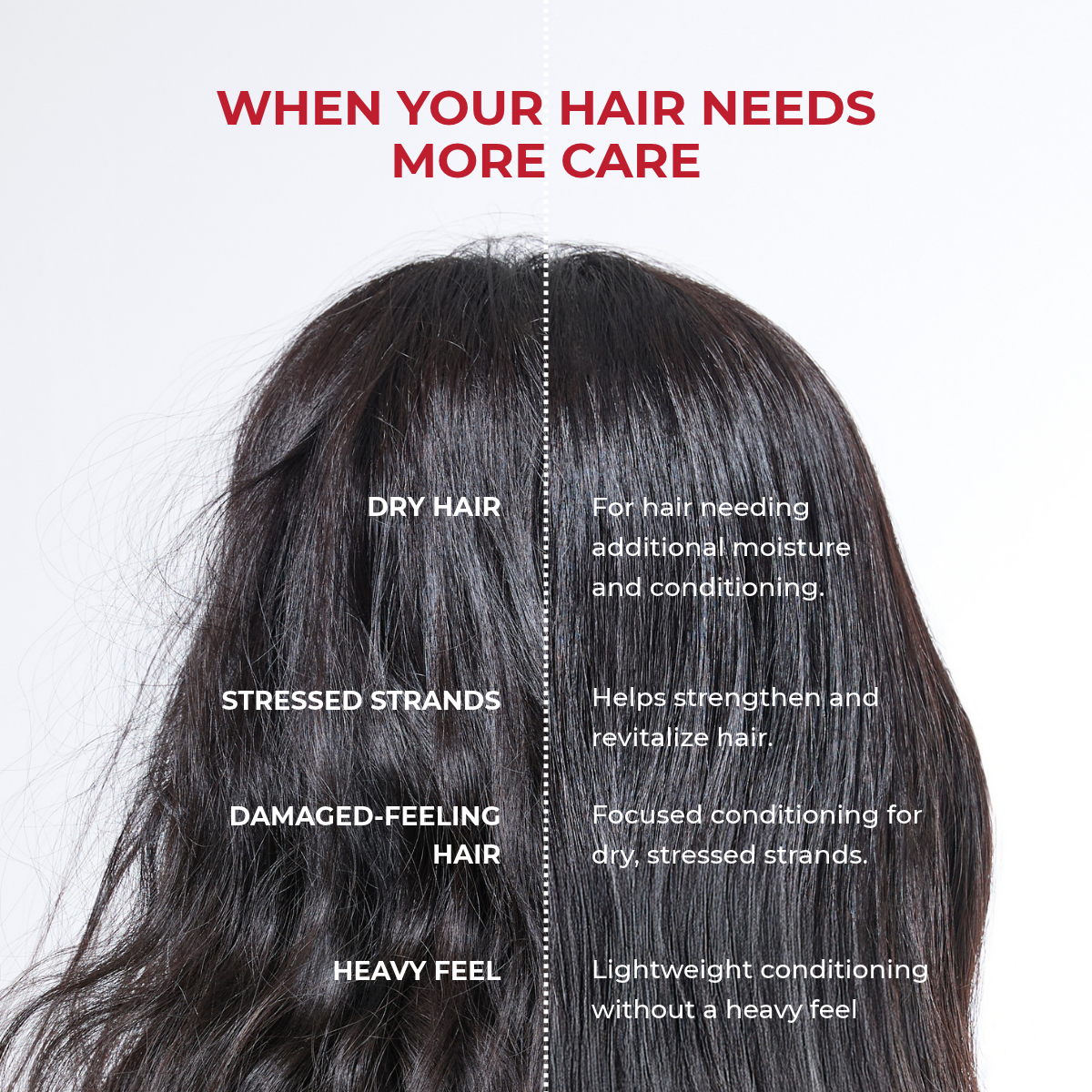 MOEV PDRN TREATMENT