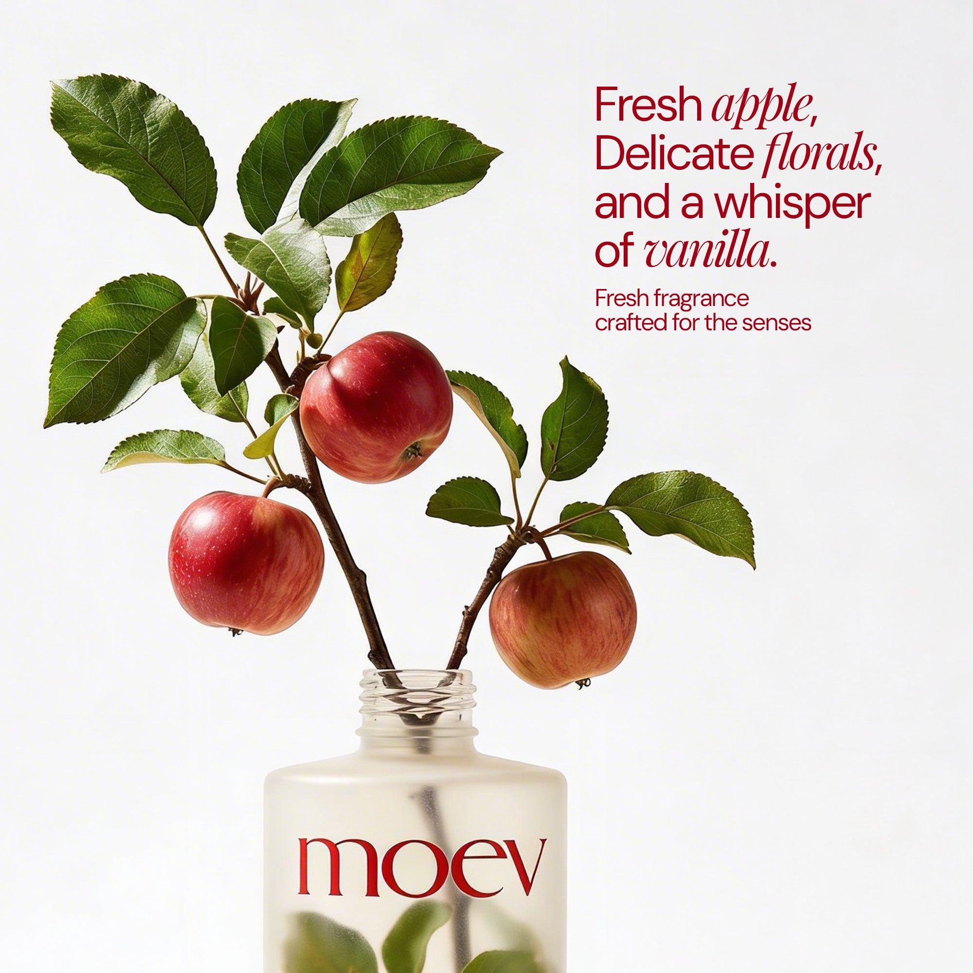 MOEV ANNURCATIN™ SHAMPOO